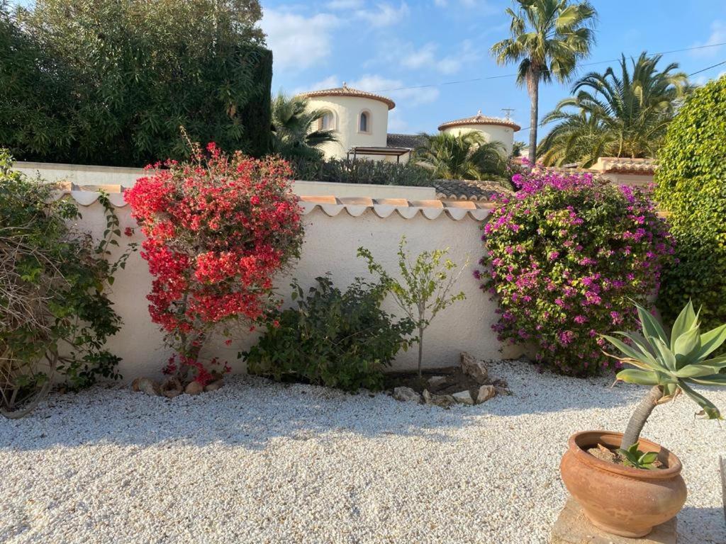 The Best Holiday Villa Calpe Esterno foto